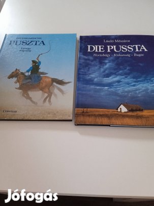 Die Ungarische Puszta; Die Puszta 