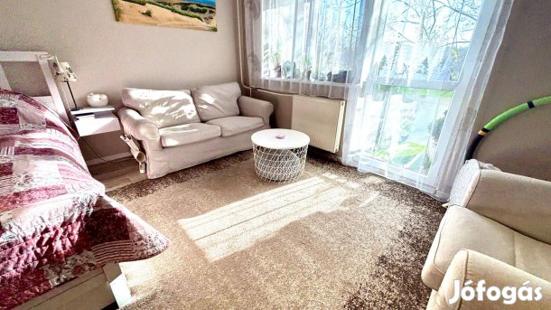 Diego Szőnyeg - Tulipo 240 x 340