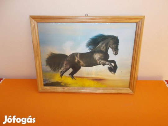 Dimenziós kép eladó