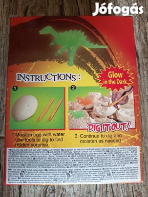 Dinoszaurusz kövület tojás