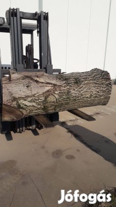 Diófa rönk eladó