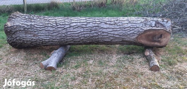 Diórönk, Hossza:140 cm, átmérő alul 60 cm, felül 42 cm