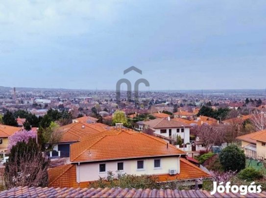 Diósdi 357 nm-es ház eladó