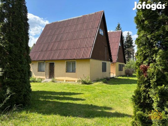 Diósjenői tó partján 2 különálló családi ház saját stéggel! 869