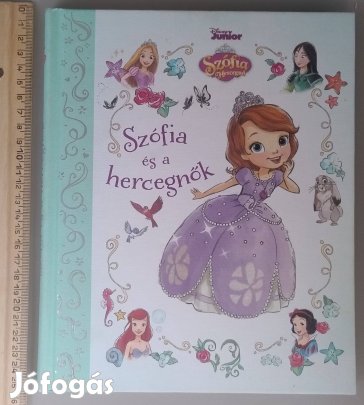 Disney Szófia és a hercegnők (Ariel, Aranyhaj, Hófehérke, Mulan)