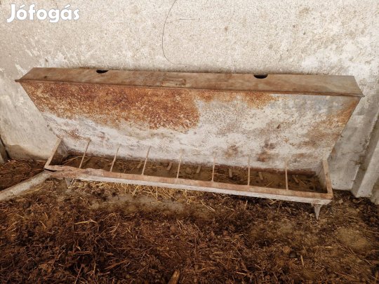 Disznó etető eladó