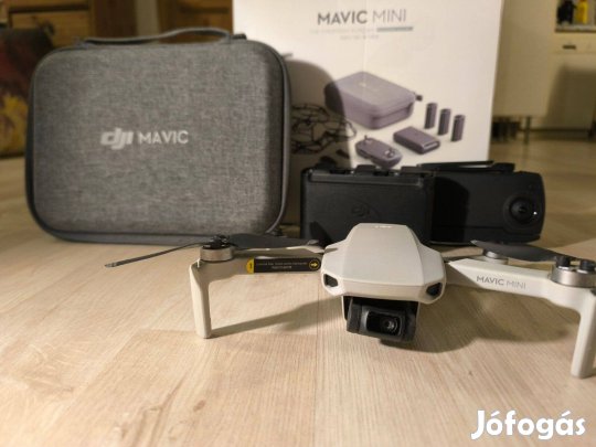 Dji Mavic Mini Fly More Combo