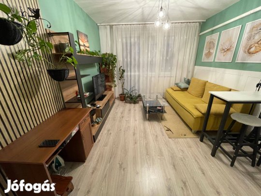 Doberdó utcán 1+1 szobás felújított lakás kiadó!