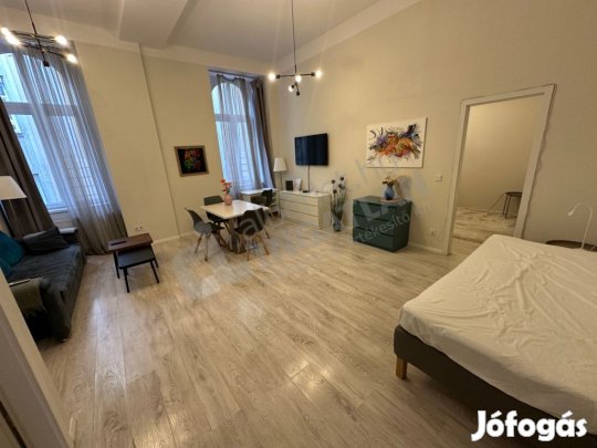Dohány utcában két hálós bútorozott lakás kiadó