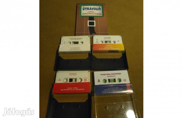 Domján László - Sólyom Ildikó: Útravaló agykontrollosoknak (Könyv)