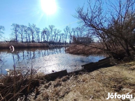 Dömsödi eladó 61 nm-es ház