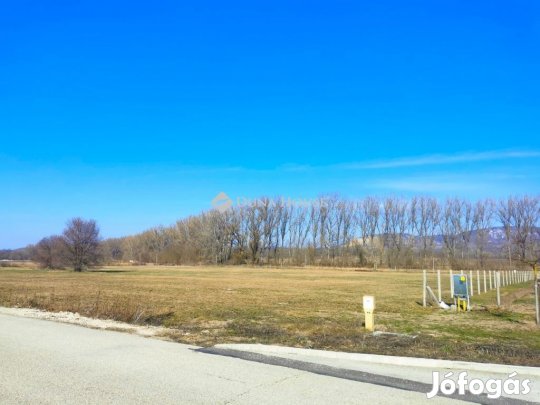 Dorogi eladó 9646 nm-es ipari terület