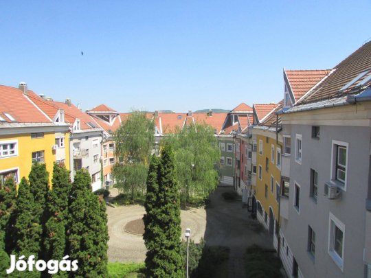 Dorogon kiadó gyönyörű, berendezett, 3 szobás, összkomfortos lakás