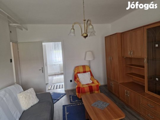 Dózsakertben olcsó lakás kiadó