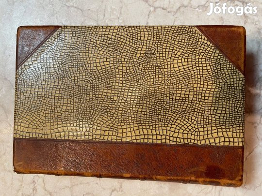 Dr.Róna Zsigmond: Éghajlat I-II. 1907. kiadás élfestett