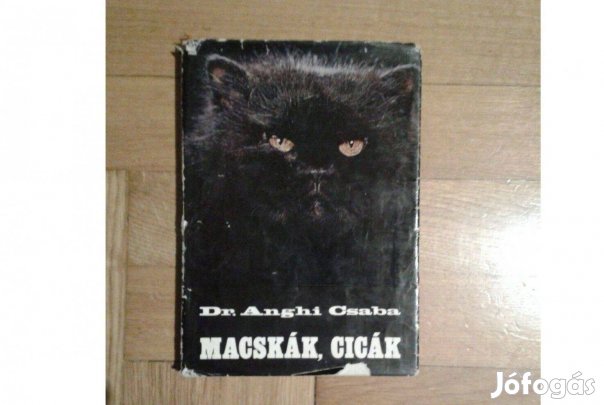 Dr. Anghi Csaba: Macskák, cicák