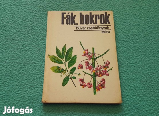 Dr. Debreczy Zsolt - Fák, bokrok könyv