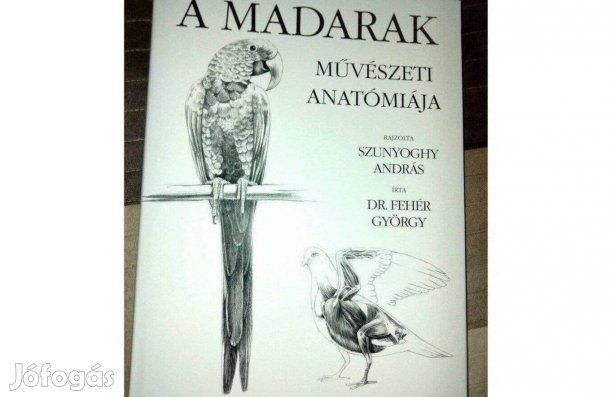 Dr. Fehér György : A madarak művészeti anatómiája