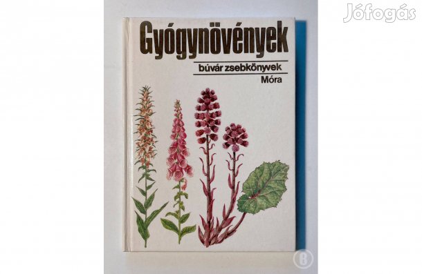 Dr. Isépy István: Gyógynövények - - - (Csak személyesen!)