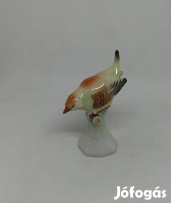 Drasche porcelán madár!