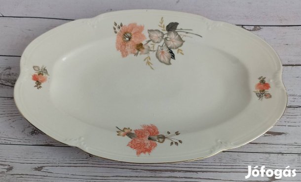Drasche porcelán sültes tál,pecsenyés tál!