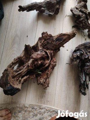 Drift wood fa. akváriunba