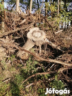 Dücskő ingyen elvihető eladó Nyíregyházán