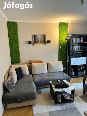 Duna Pálza mellett lakás kiadó