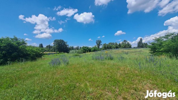 Duna parti fekvésű K-REK besorolású 4 hektáros telek eladó