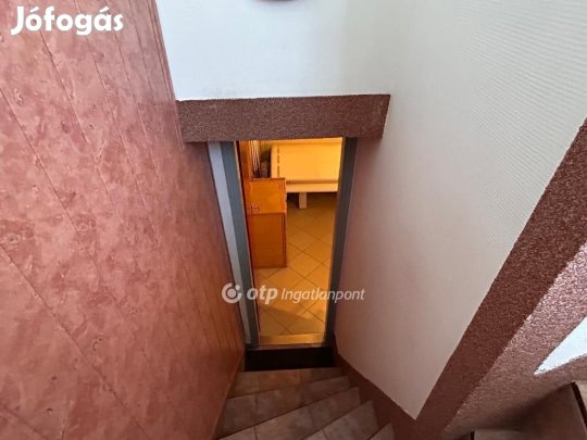 Dunaharasztii 270 nm-es ház eladó