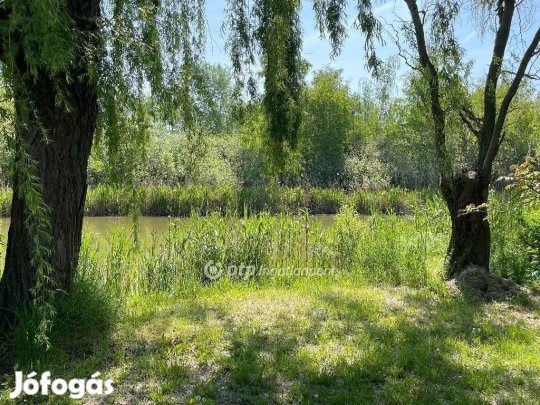 Dunaharasztii 68 nm-es ház eladó