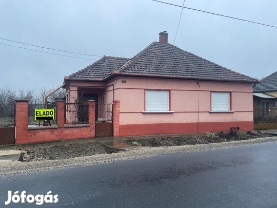 Dunapatajon összkomfortos család