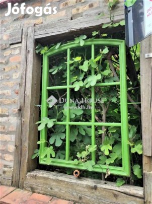 Dunaszekcsői eladó 265 nm-es ház