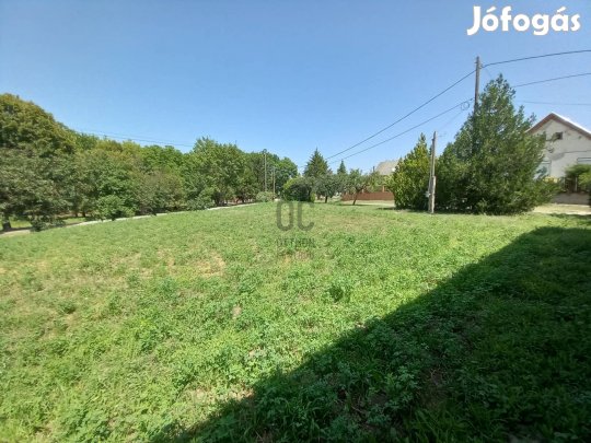 Dunaszentgyörgyön építési telek eladó