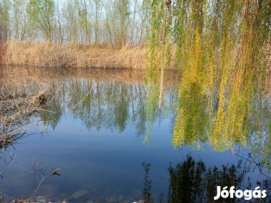 Dunatetétlenen Solttól 4 km.-re vízparti telek eladó