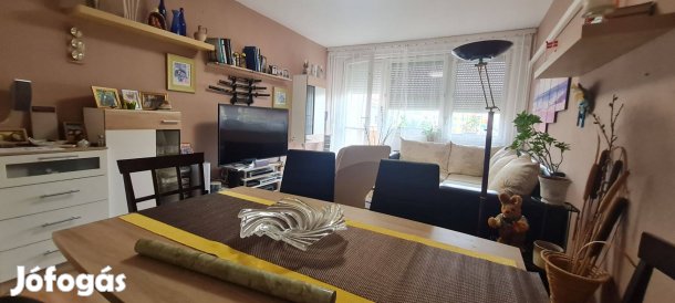 Dunaújváros, 2 szobás panel lakás eladó