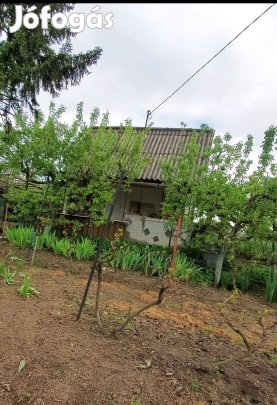 Dunaújváros nyaraló eladó