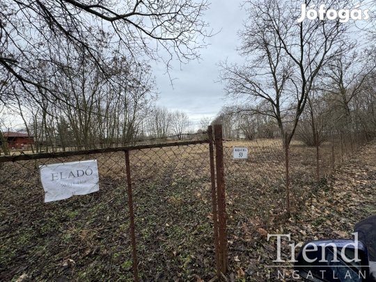 Dunaújváros zöldövezeti részén zártkerti ingatlan eladó!