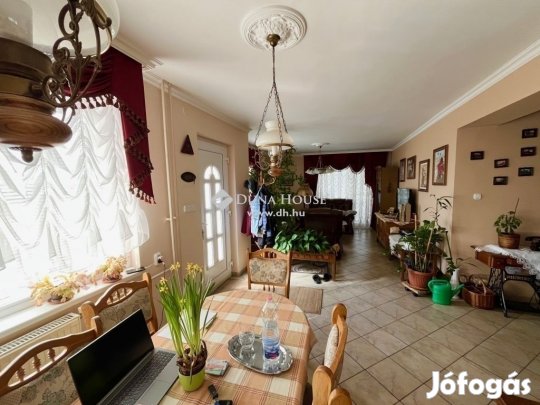 Dunaújvárosi 160 nm-es ház eladó