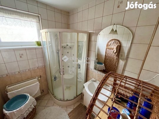 Dunaújvárosi 160 nm-es ház eladó