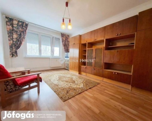 Dunaújvárosi 47 nm-es lakás eladó #5157615