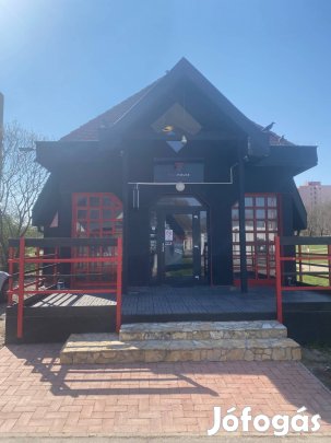 Dunaújvárosi üzlet pizzéria