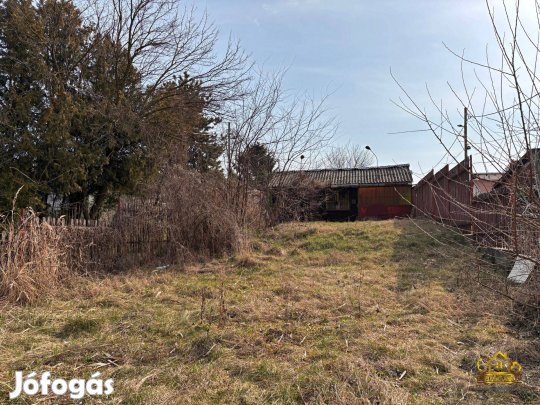 Dunavarsány Ráckevei Dunaág részén közvetlen vízparti telek! 1237