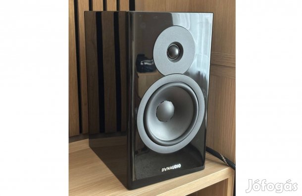 Dynaudio evoke 20