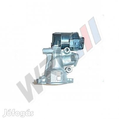 EGR szelep Ford C-Max,Focus,C-Max Focus,Kuga 1231964
