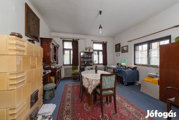 EGYEDI LEHETŐSÉG, KITŰNŐ ELOSZTÁS, BUJA NÖVÉNYZET.