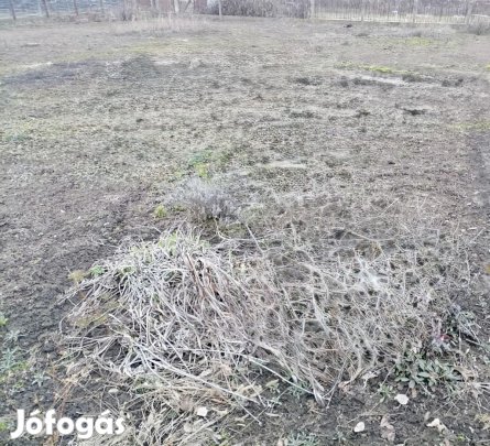 ELADÓ ÉPÍTÉSI TELEK PUSZTASZABOLCSON SZUPER HELYEN!