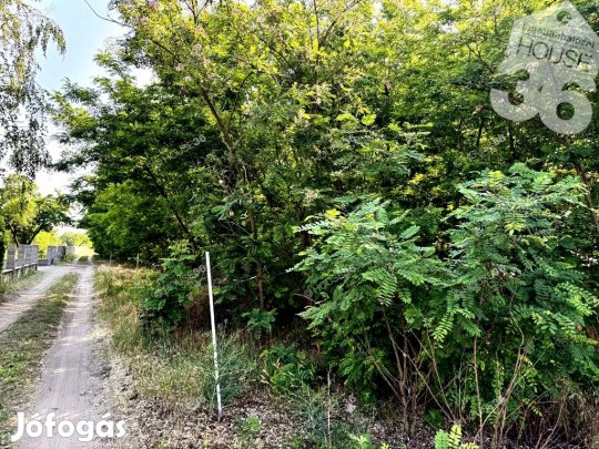 ELADÓ FÁSÍTOTT TERÜLET KECSKEMÉTEN!!!