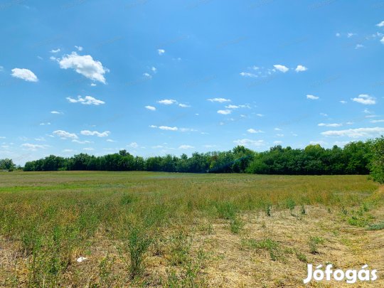 ELADÓ LAKÓHÁZ ÉPÍTÉSRE IS ALKALMAS KÜLTERÜLET!!