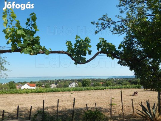 ELADÓ ÖRÖKPANORÁMÁS ZÁRTKERTI HÁZ CSOPAKON GONDOZOTT